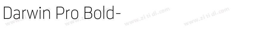 Darwin Pro Bold字体转换